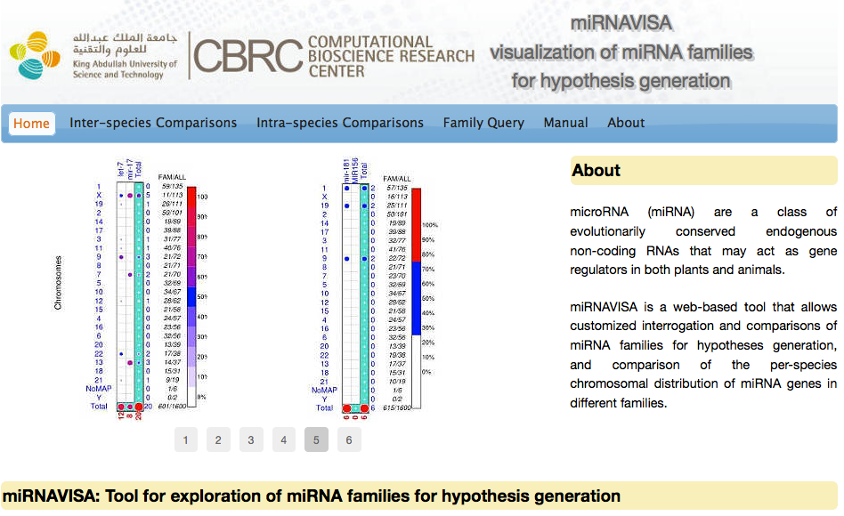 miRNAVISA Cancer Research